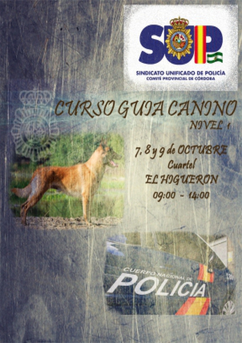 Guía Canino, Nivel 1