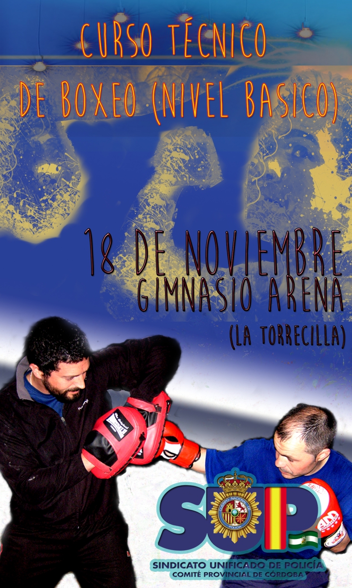 Curso Tecnico Boxeo (Nivel Basico)