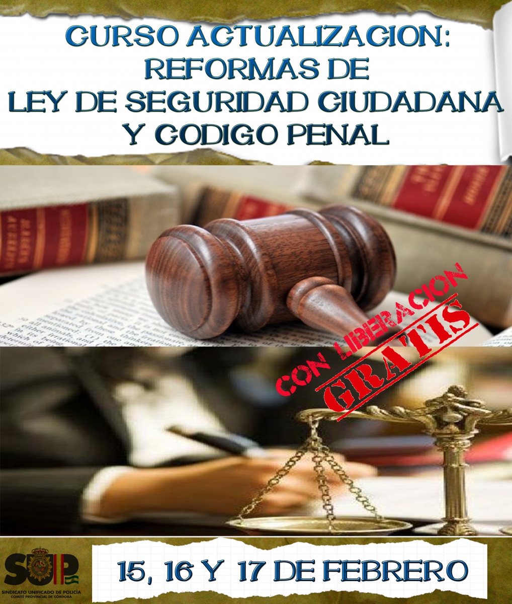 Reforma Codigo Penal y Seguridad Ciudadana