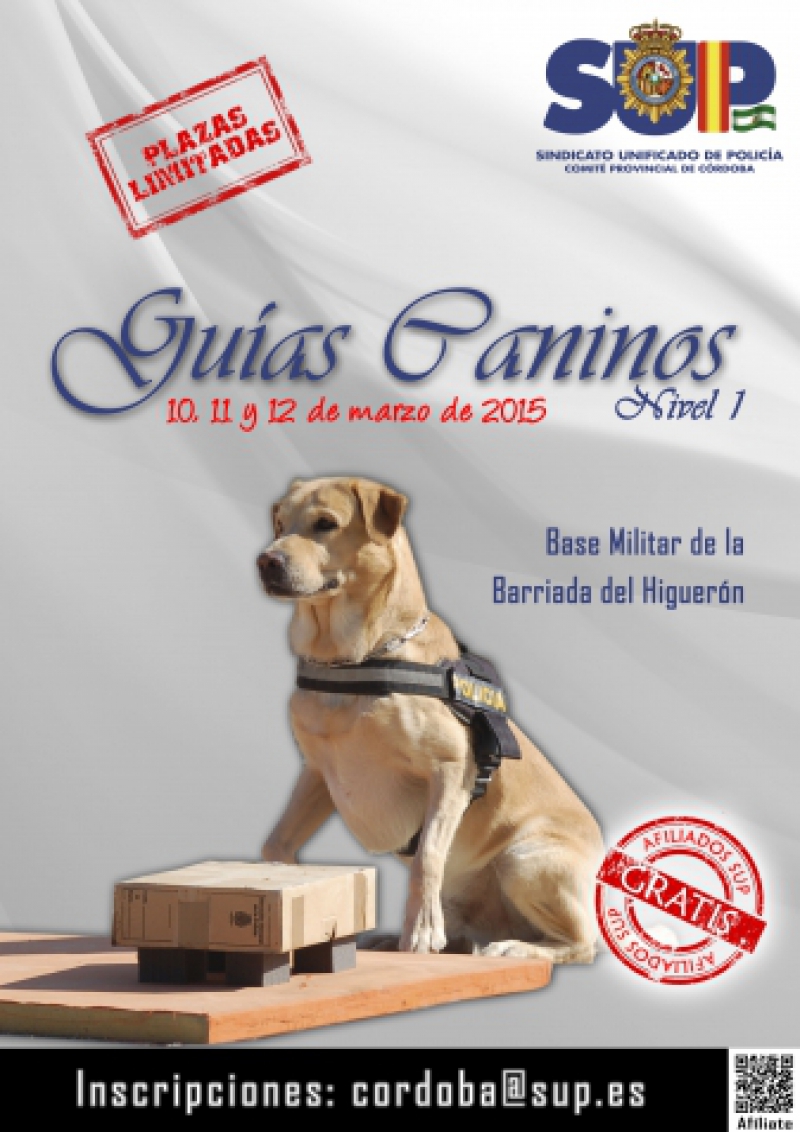 Guías Caninos - Nivel I