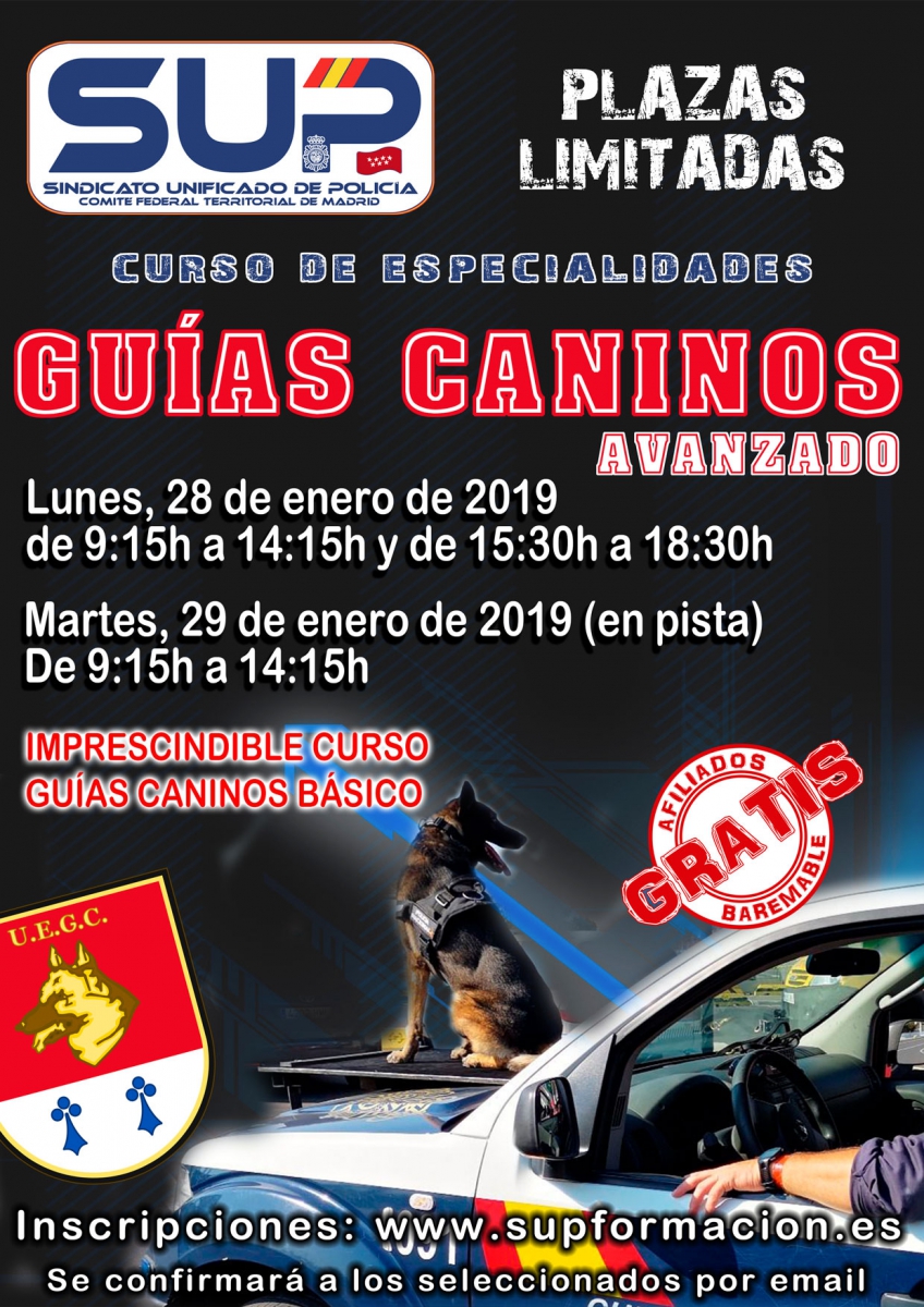 CURSO DE GUÍAS CANINOS AVANZADO