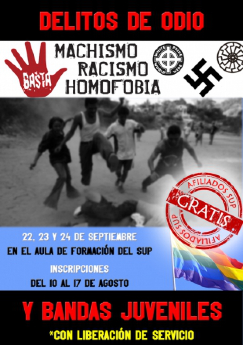 DELITOS DE ODIO Y BANDAS JUVENILES