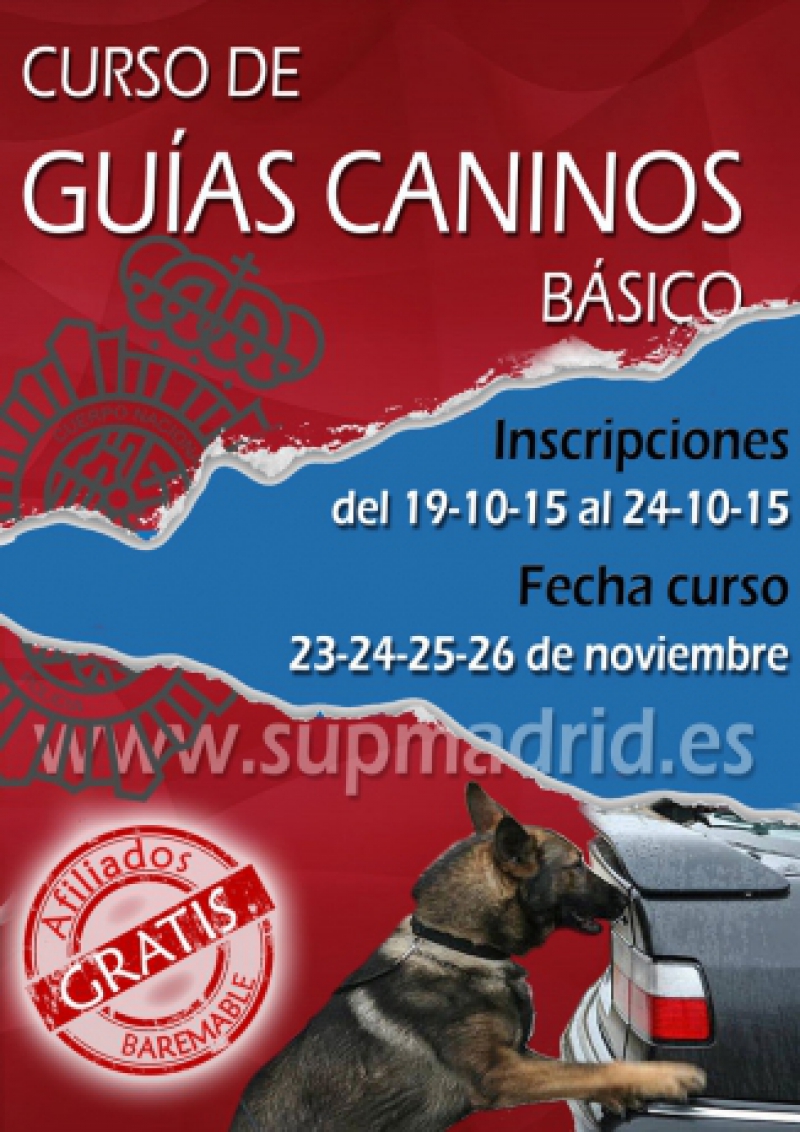 GUÍAS CANINOS BÁSICO