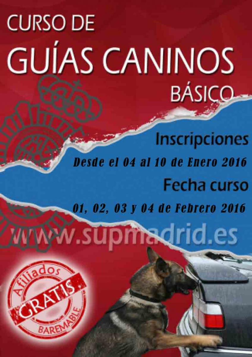 GUÍAS CANINOS BÁSICO