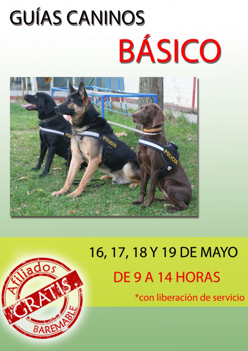 GUÍAS CANINOS BÁSICO
