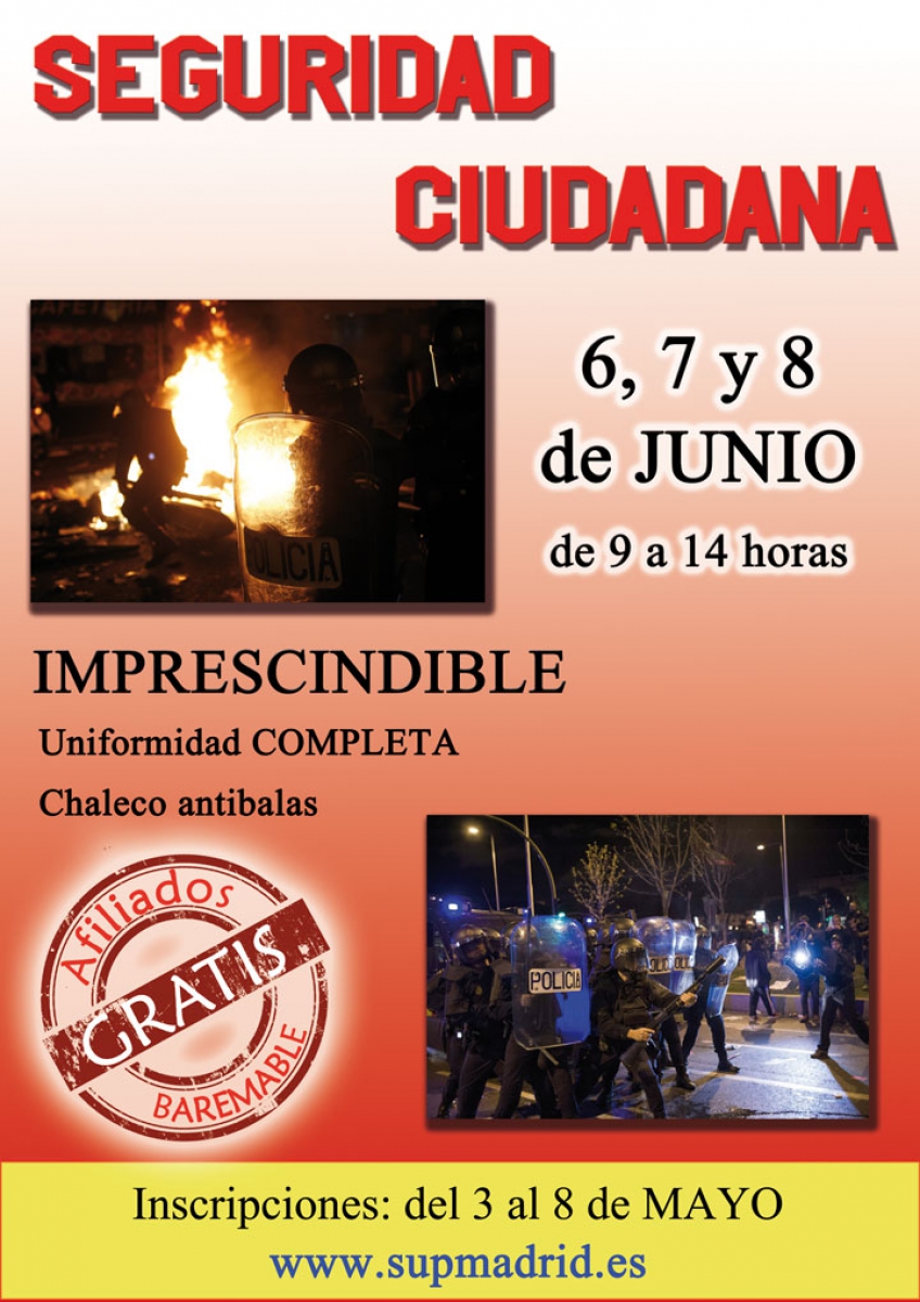 SEGURIDAD CIUDADANA