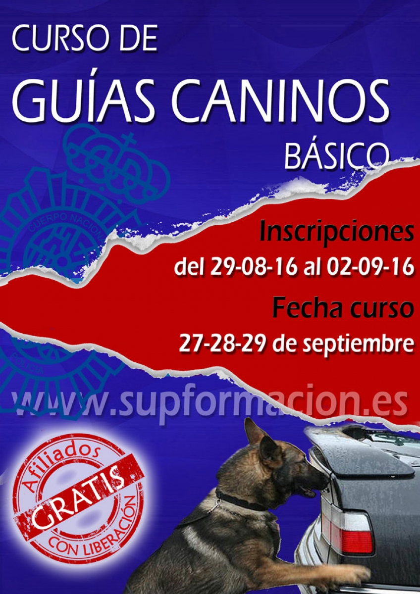 GUÍAS CANINOS BÁSICO