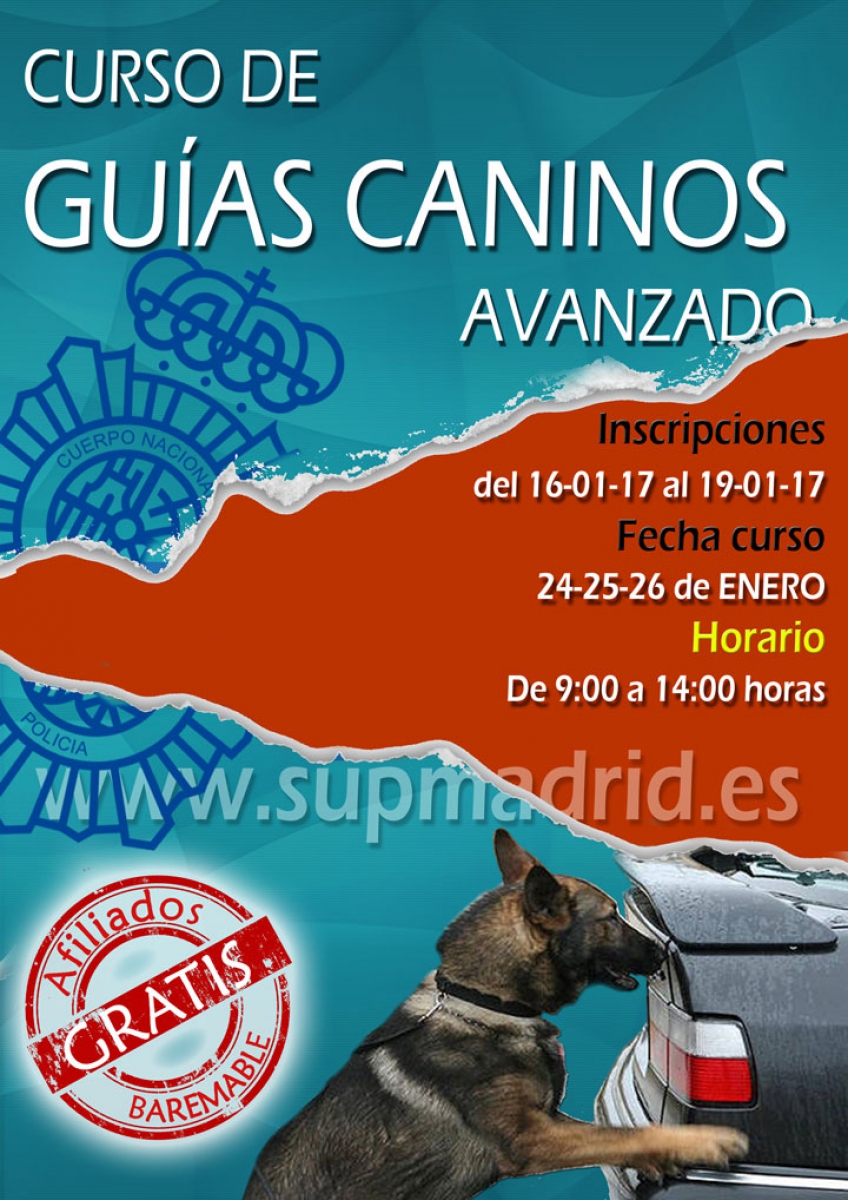 GUÍAS CANINOS AVANZADO