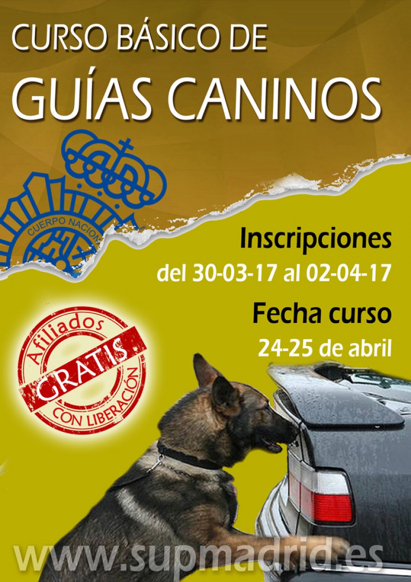 CURSO DE GUÍAS CANINOS BÁSICO