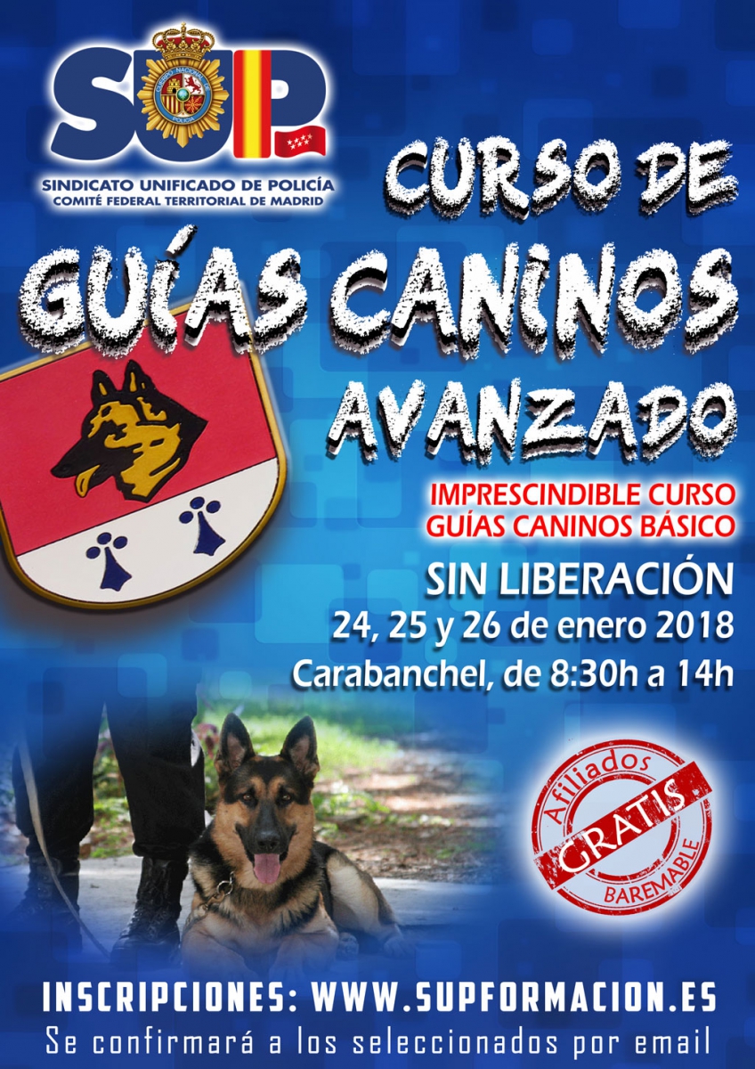 GUÍAS CANINO AVANZADO