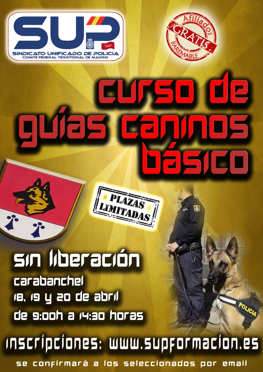 CURSO DE GUÍAS CANINOS BÁSICO