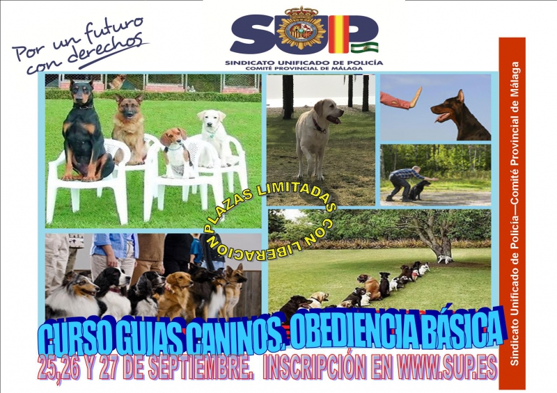 GUIAS CANINOS OBEDIENCIA BASICA Y PRIMEROS AUXILIOS