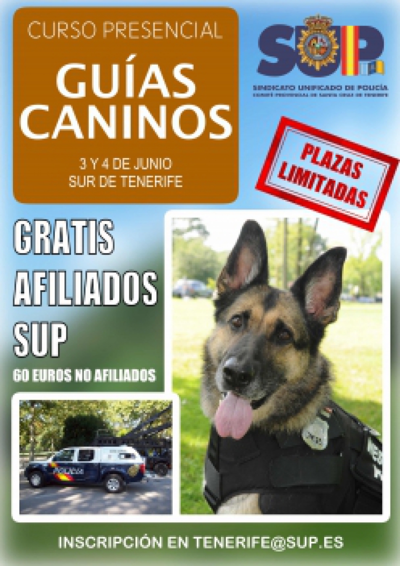Guias Caninos, sur de tenerife
