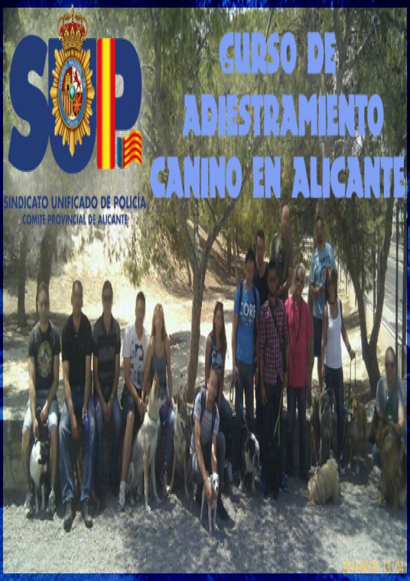 ADIESTRAMIENTO CANINO
