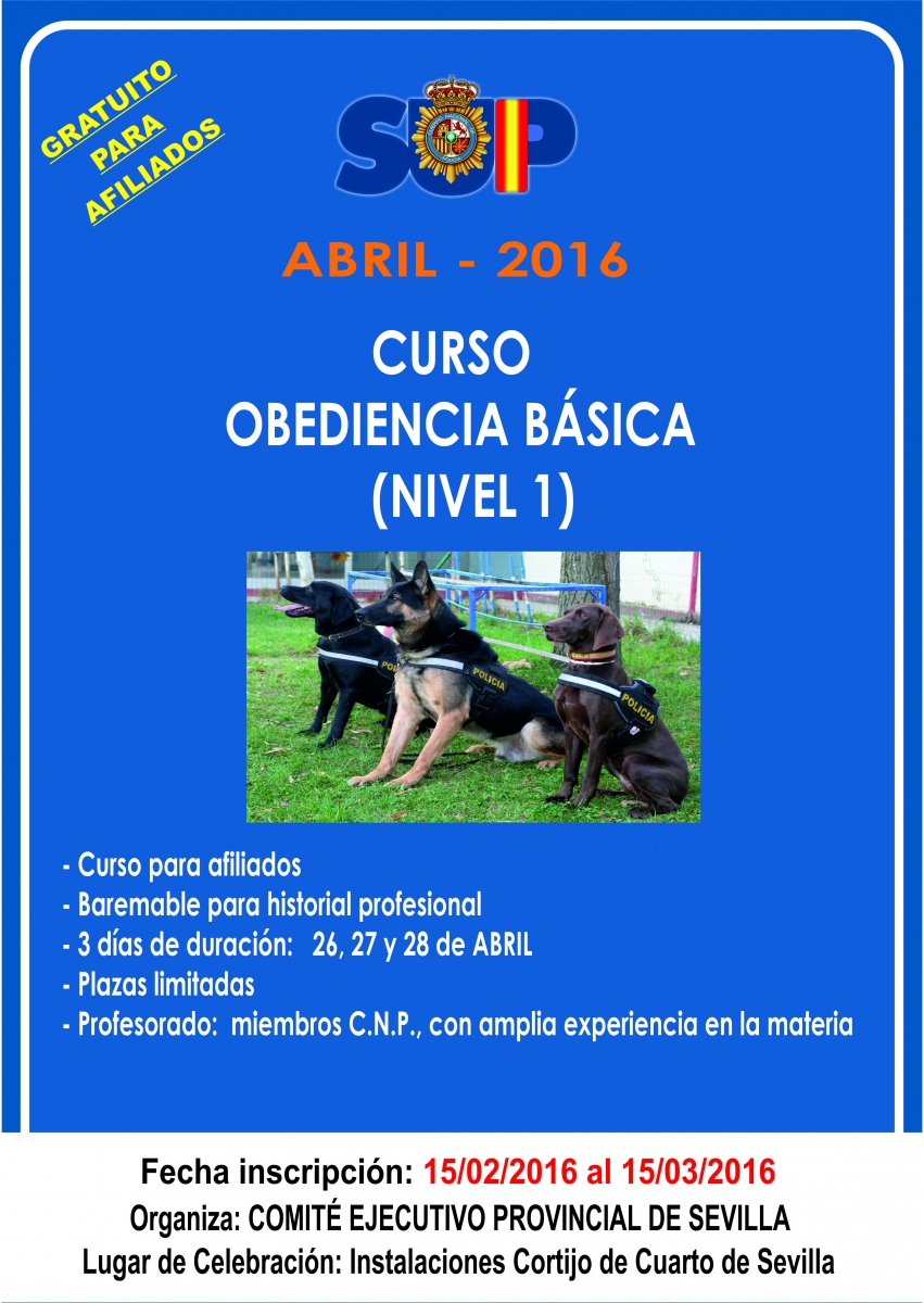OBEDIENCIA BÁSICA (Nivel 1)