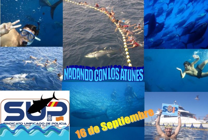 VI JORNADA NADANDO CON ATUNES