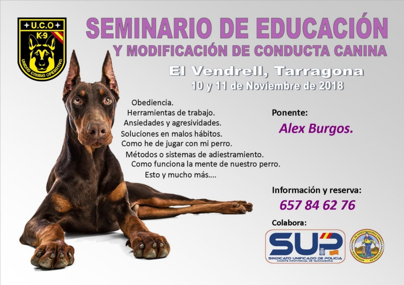 SEMINARIO DE EDUCACION Y MODIFICACION DE CONDUCTA CANINA