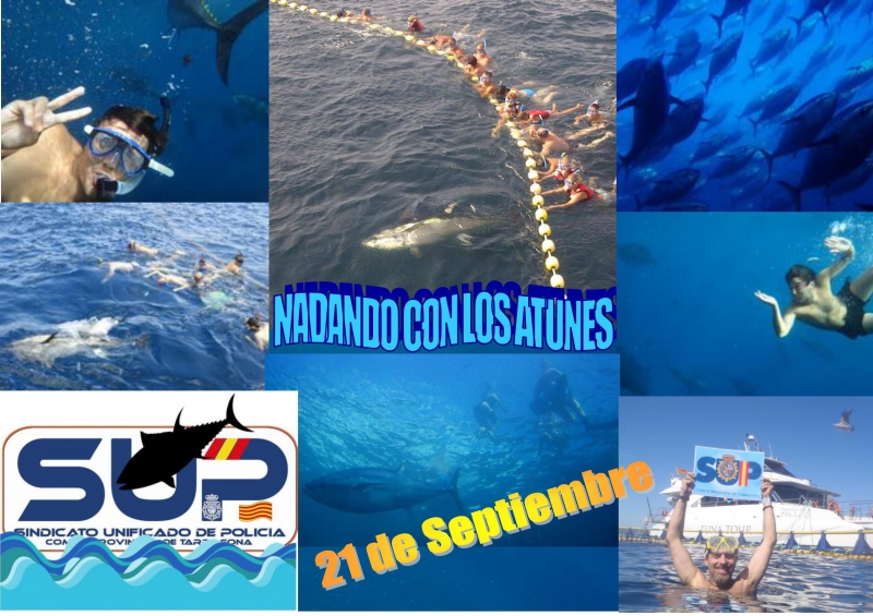 JORNADA NADANDO CON ATUNES