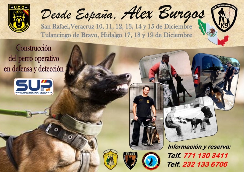 Construcción del Perro Operativo en Defensa y Detección