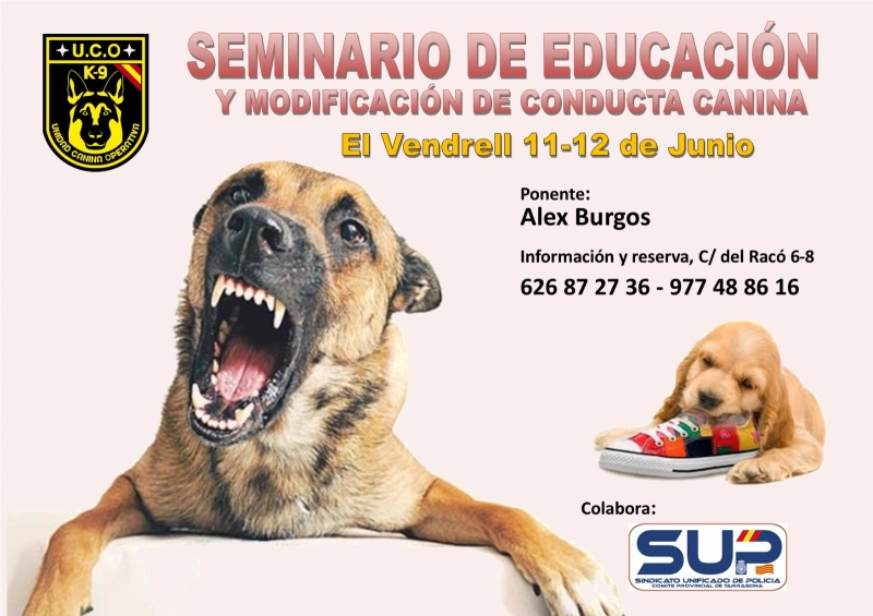 "SEMINARIO DE EDUCACION Y MODIFICACION DE CONDUCTA CANINA"