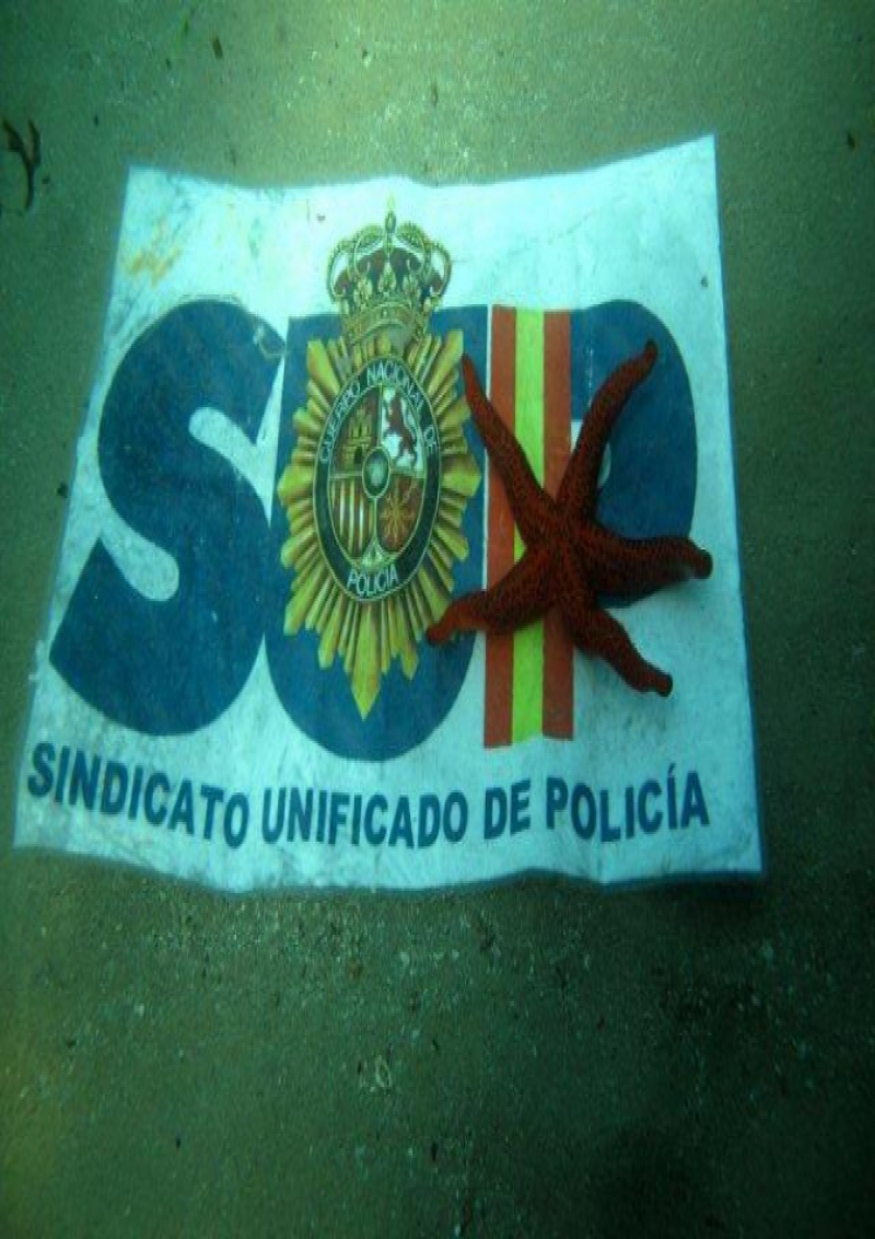 VI Curso ACUC de Submarinismo