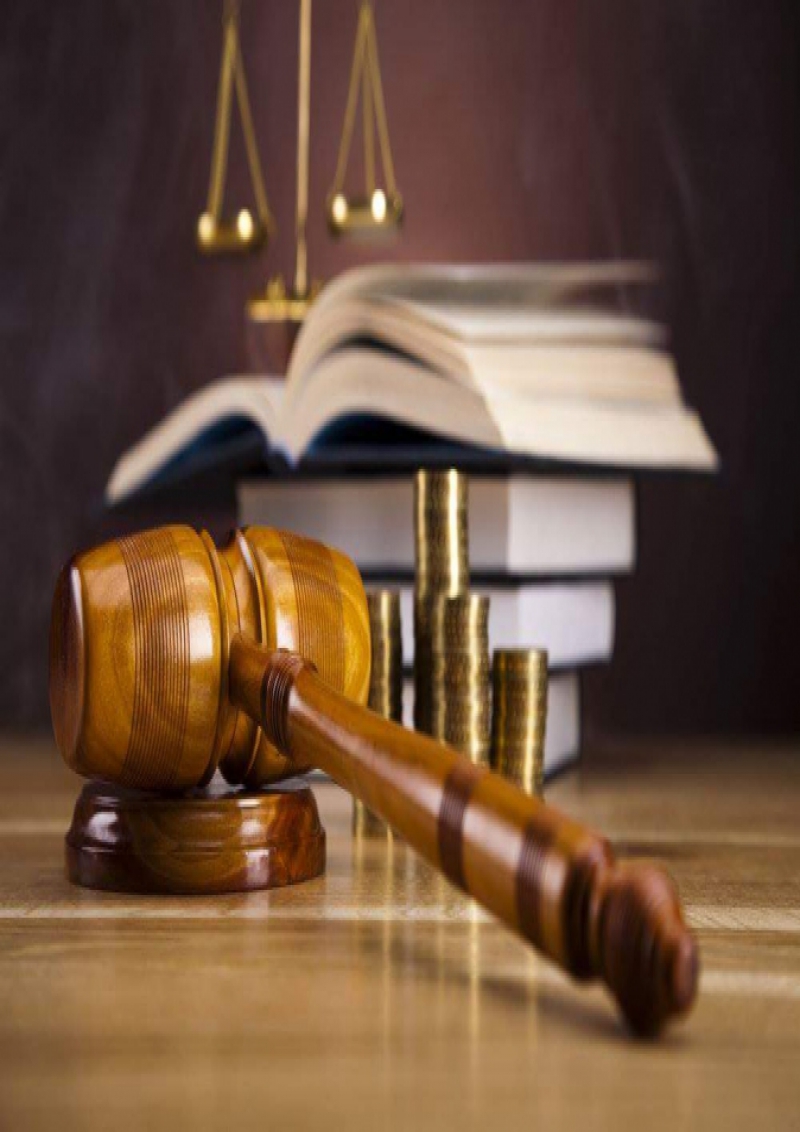 I Curso Practico de Policía Judicial
