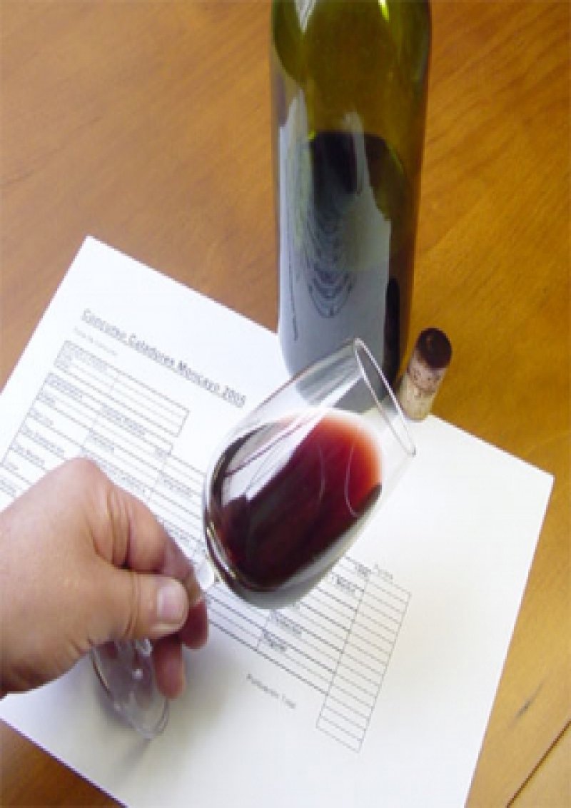 IV Jornada Cata de Vinos