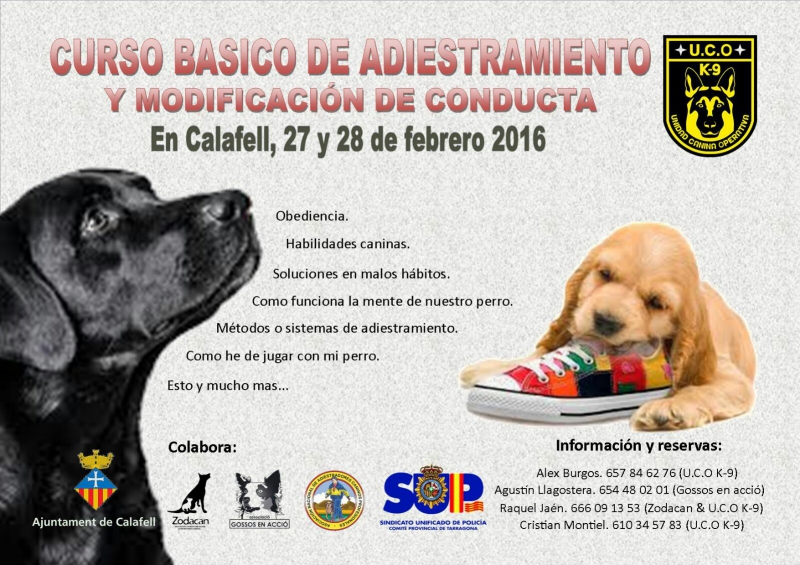 Curso Básico de Adiestramiento y Modificación de Conducta