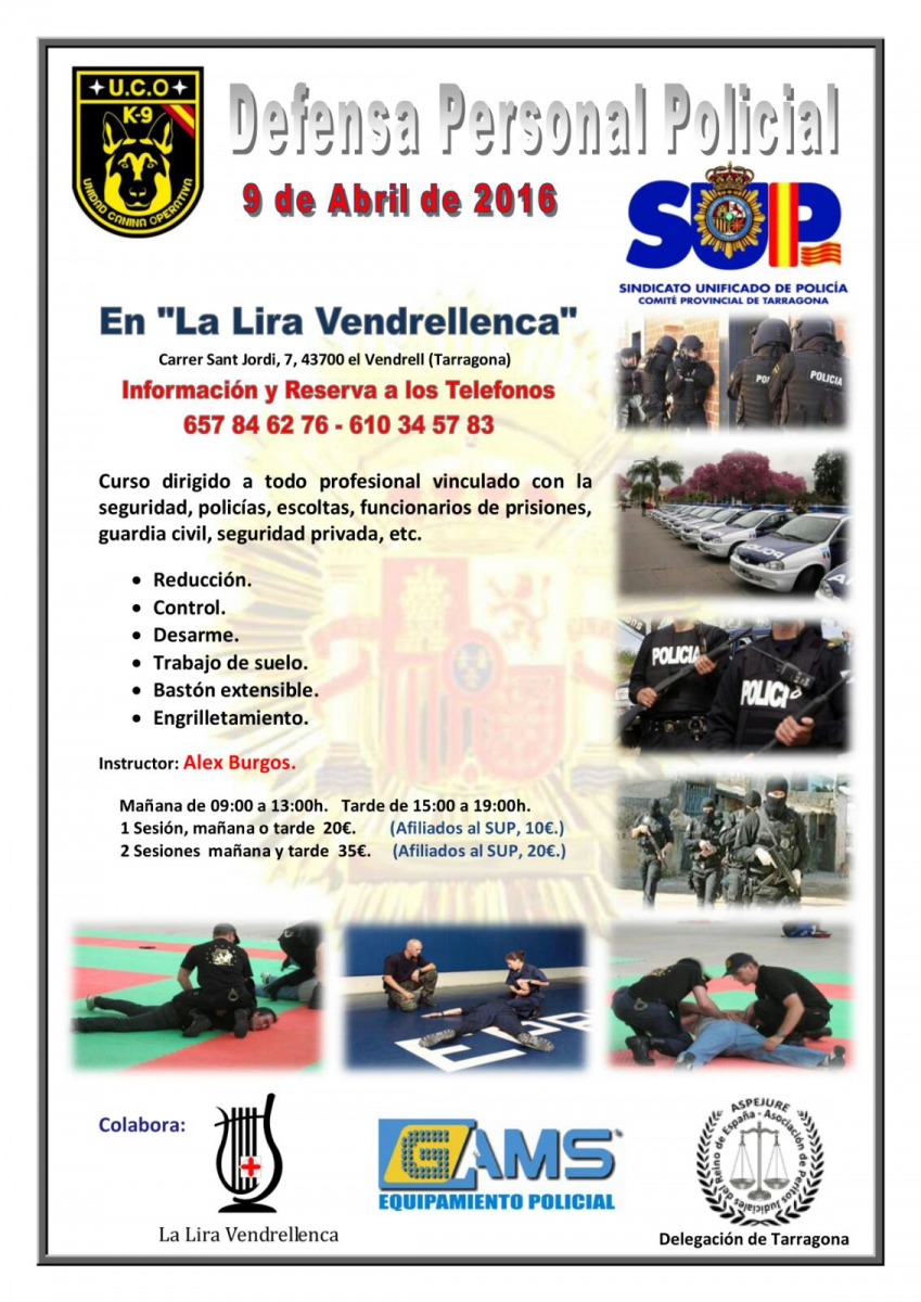 DEFENSA PERSONAL POLICIAL