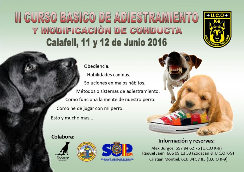 II CURSO DE ADIESTRAMIENTO Y MODIFICACION DE CONDUCTA CANINA