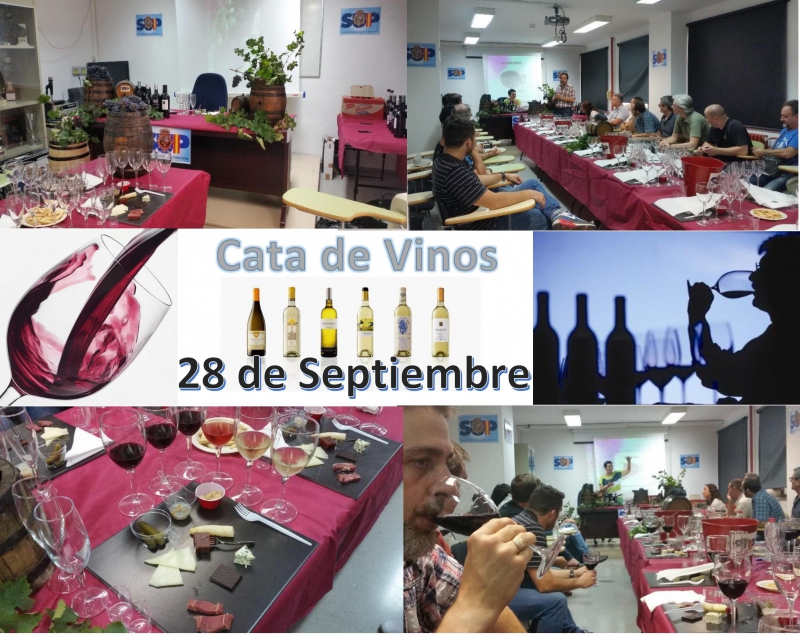 VI JORNADA DE CATA DE VINOS