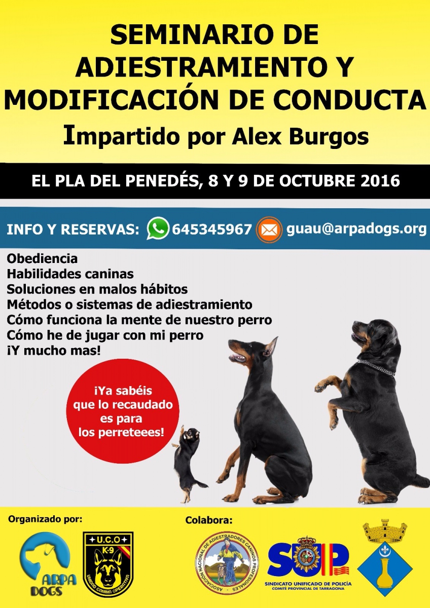 SEMINARIO DE ADIESTRAMIENTO Y MODIFICACION DE CONDUCTA CANINA