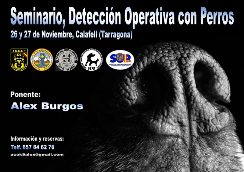 SEMINARIO DETECCION OPERATIVA CON PERROS