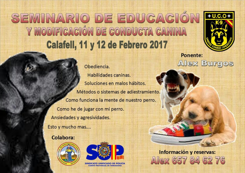 SEMINARIO DE EDUCACION Y MODIFICACION DE CONDUCTA CANINA