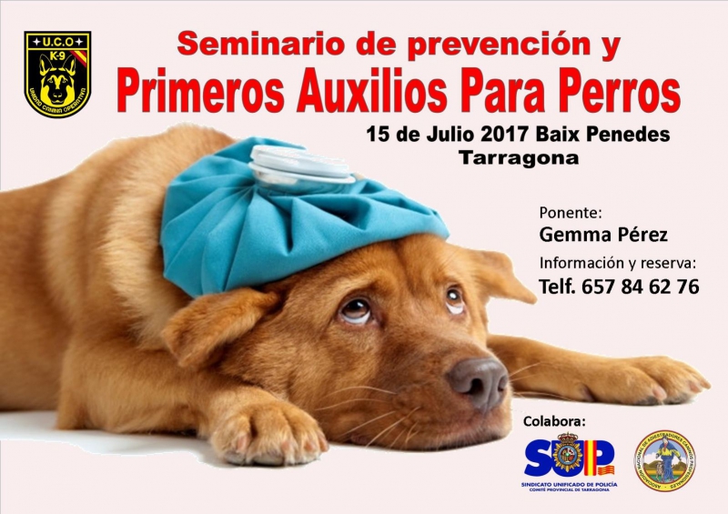 SEMINARIO DE PREVENCION Y PRIMEROS AUXILIOS PARA PERROS