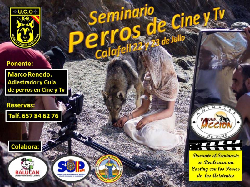 Seminario Perros de Cine y TV