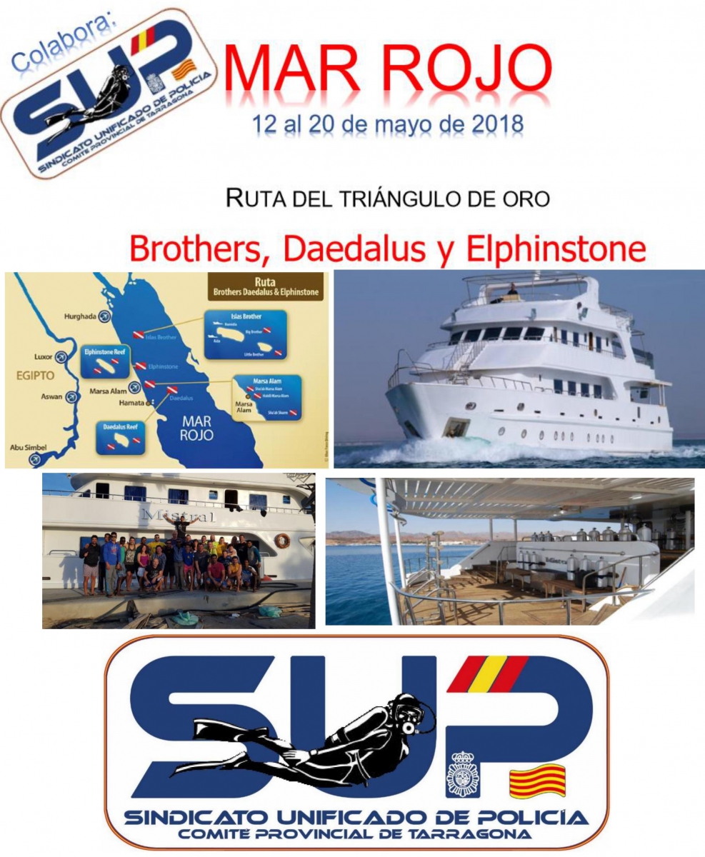 "BUCEO EN EL MAR ROJO"