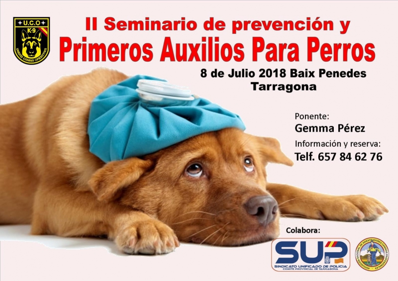 II SEMINARIO PREVENION Y PRIMEROS AUXILIOS PARA PERROS