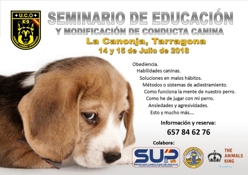 SEMINARIO DE EDUCACION Y MODIFICACION DE CONDUCTA CANINA