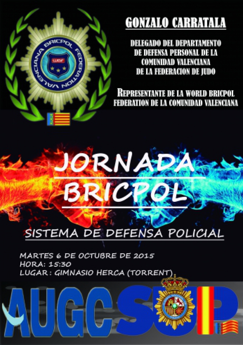 4ª JORNADA BRICPOL