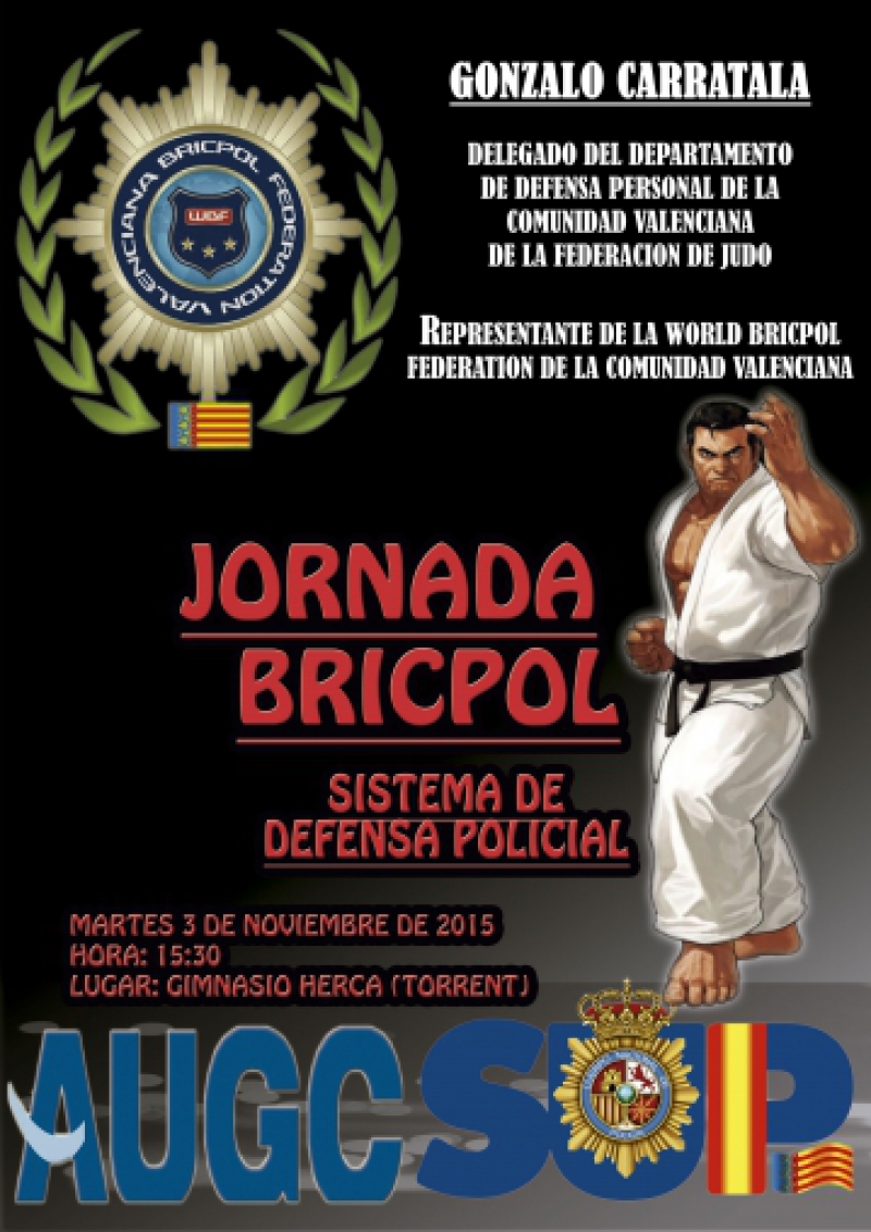 5ª JORNADA BRICPOL