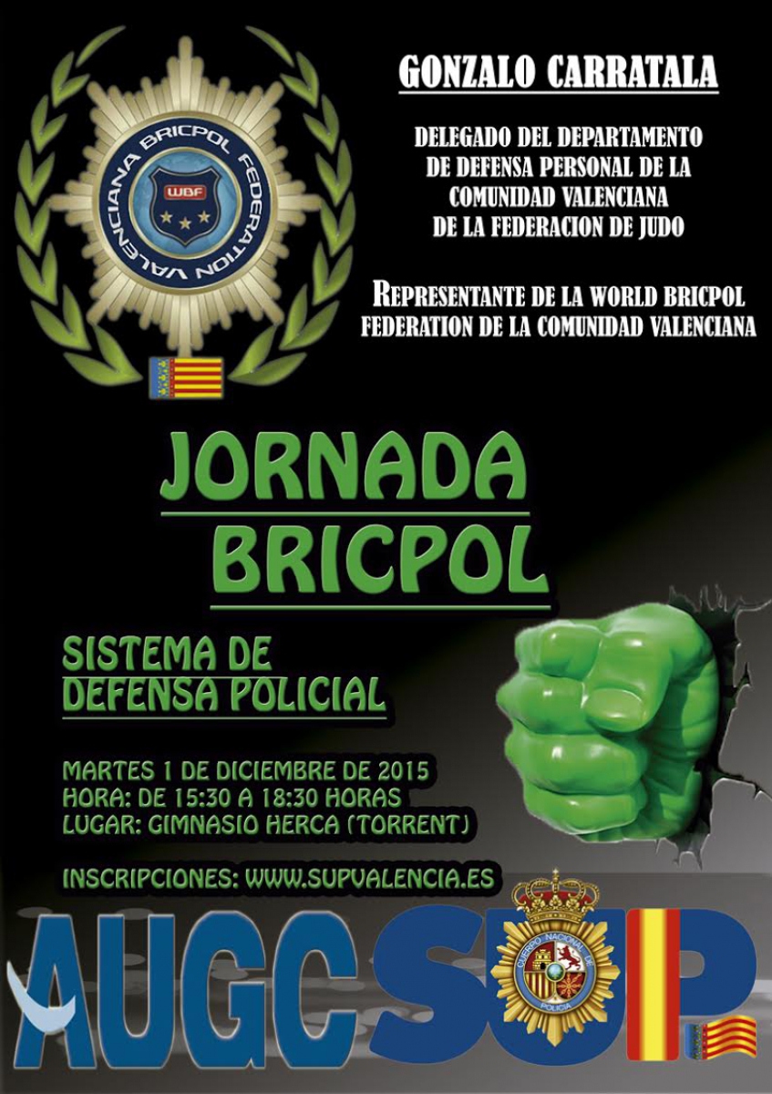 6ª JORNADA BRICPOL