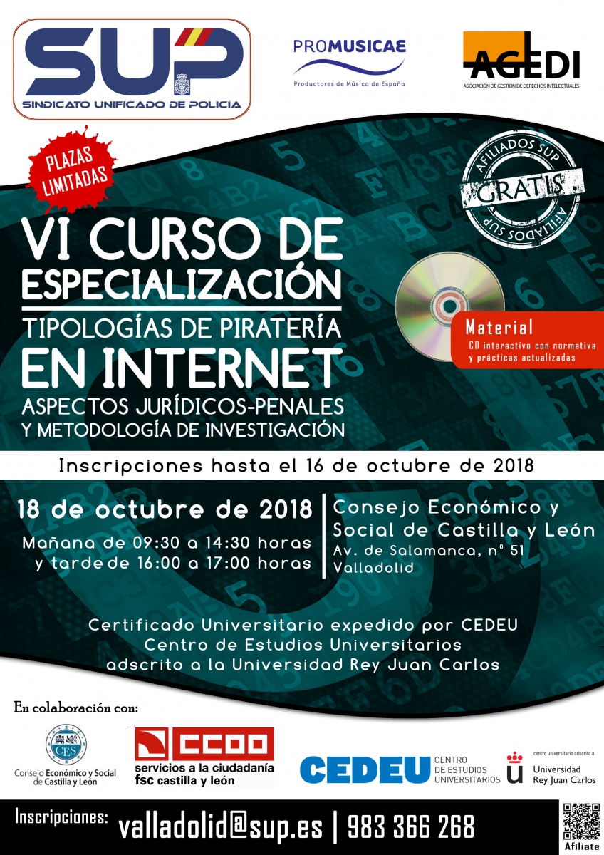 Curso de Especialización en Tipologías de Piratería en Internet
