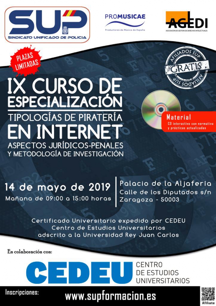 IX Curso sobre tipologías de piratería en Internet, aspectos jurídicos, penales y metodología de investigación 