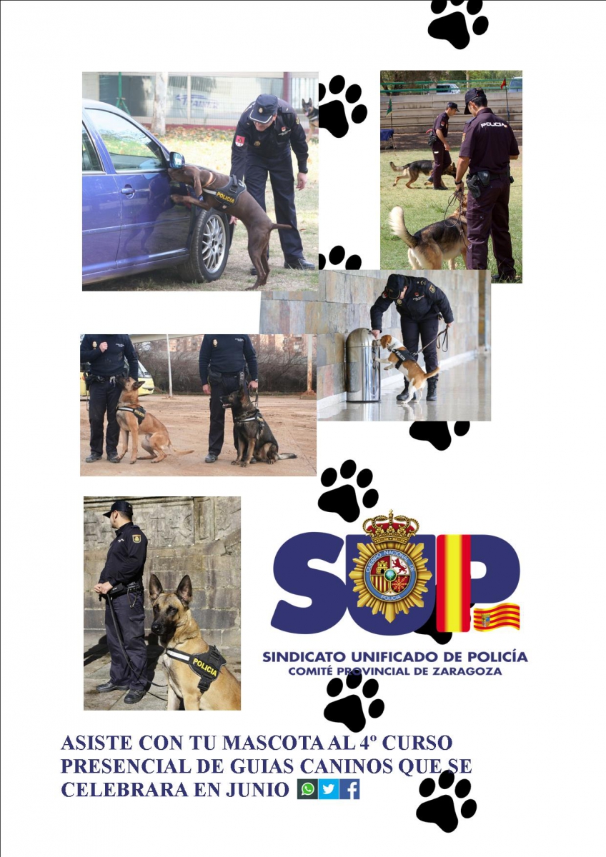 Curso de Guías Caninos