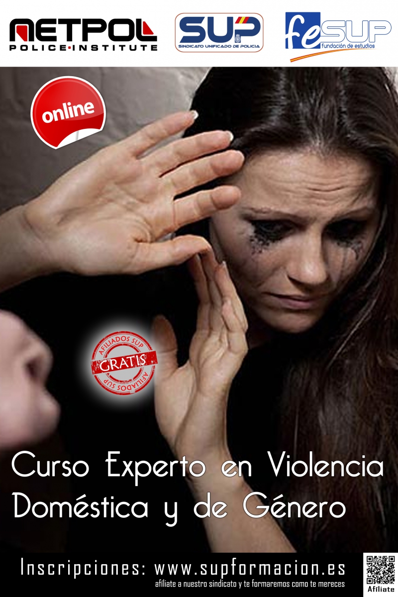 Curso Experto en Violencia Doméstica y de Género
