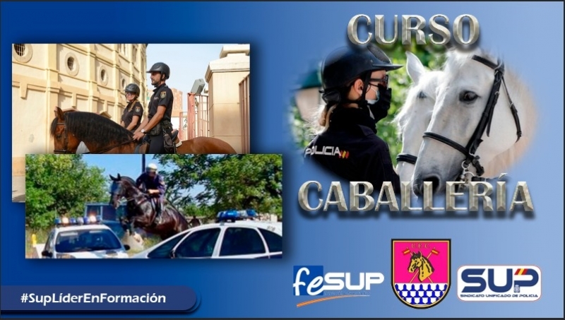 CURSO DE CABALLERÍA ONLINE