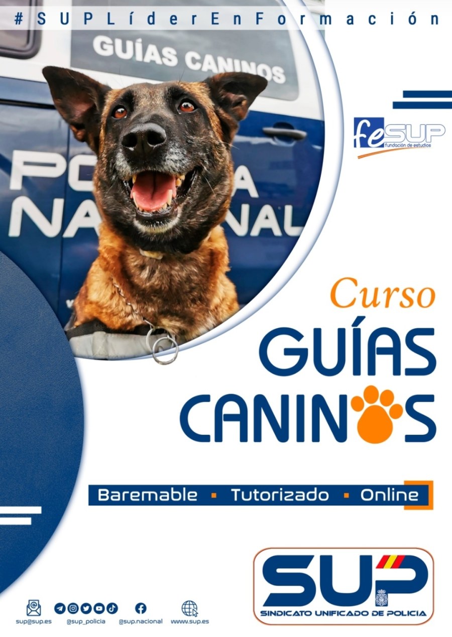 CURSO BÁSICO DE GUÍAS CANINOS ONLINE