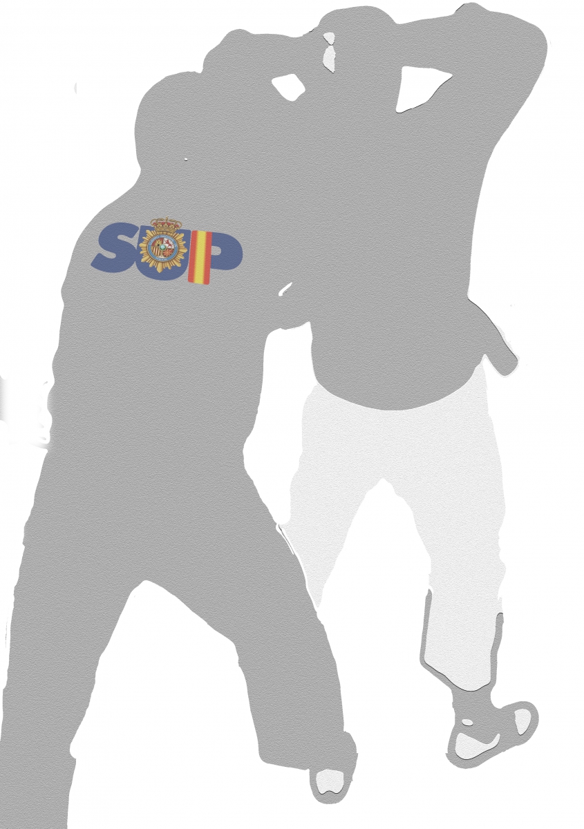 Defensa Personal Policial y artes marciales