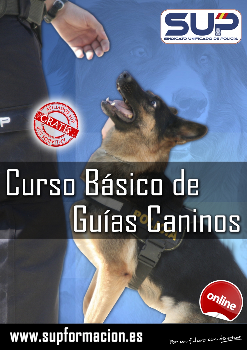 II Curso Básico de Guías Caninos Online - ENP